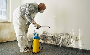 Best Attic Mold Removal  in Benson, NC